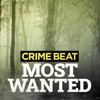 Crime Beat Most Wanted S01E02 1080p WEB H264-CBFM thumb