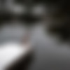 camdamage Tumblr Rip thumb
