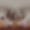 [SexBabesVR.com] Mia Trejsi - Trip After Sex [28.02.2025, Barefeet, Big Dick, Blowjob, Brunette, Close Ups, Cowgirl, Cumshot, Doggystyle, Girl-Boy, Kissing, Long Hair, Missionary, Natural Boobs, POV, Reverse Cowgirl, Striptease, Tattoo, Wet Pussy, Virtual Reality, SideBySide, 8K, 4096p, SiteRip] [Oculus Rift / Quest 2 / Vive] thumb