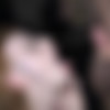 [SplatBukkake.com / UKxxxPass.com] Azura Alii - Debut bukkake for sweet Azura Alii [2019-05-28, Bukkake, Blowjob, Cumshot, Deep Throat, Facial, Swallow, Teen, 1080p, Upscale] thumb