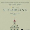 Sugarcane 2024 REPACK 720p DSNP WEB-DL DDP5 1 H 264-FLUX thumb