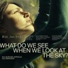 What Do We See When We Look at the Sky 2021 720p WEB H264-MEDiCATE thumb