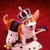 The Queen's Corgi [2019] / H264 / MKV / Blu-ray / 1080p / True-HD / Subs thumb