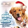 Christmas with Tucker 2013 1080p WEBRip DDP 2 0 H 265 -iVy thumb