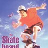 The Skateboard Kid [1993] / MPEG2 / MKV / DVD / SD / AC3 thumb