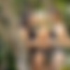 [WeLiveTogether.com / Realitykings.com] Malena Morgan, Mia Bliss (aka Mia Malkova, Madison Swan), Jessie Andrews (Pussy Feast) [18.10.2012 ., lesbian porn, blonde, brunette, bigass, big tits, threesome, asslick ] thumb
