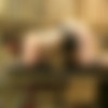 [HuCows.com] Vina-Red Cow Milker and Fucking Machine /       Vina-Red [2020-08-29 ., Bondage, Milk Machine, Fucking Machine, 1080p, SiteRip] thumb