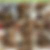 [hookuphotshot.com] March 2016 - Every existing video [480p] thumb