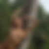 [Hegre.com] 2020-06-16 Clover Swinging In Bali [solo, posing, photoshoot, outdoors] [1080p, HDRip] thumb