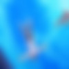 Nuki Doki! Tenshi to Akuma no Sakusei Battle /   ! ~    ~ (PoRO) (ep. 1-2 of 2) [cen] [2013 ., Big tits, Oral sex, Titsjob, Mystic, Angels, Demons, 2x DVD5] [jap] thumbnail