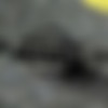 [Playboytvla.com | hotgo.tv] Racing Curves (12 ) (Playboy TV, Latin America / Mailo Echesti) [2009 ., Car, Straight, Lesbian, Solo, Softcore, Masturbation, 720p, HDRip] thumbnail