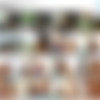 [CanHeScore.com / BangBros.com] Jenaveve Jolie (All about Jenaveve Jolie / bd4604) /     [2009 ., All Sex, Straight] thumb
