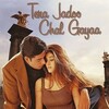 Tera Jadoo Chal Gayaa [2000] / MPEG2 / VOB IFO / DVD / SD / AC3 / Hindi / Subs / DRiv3R thumb