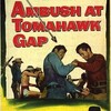 Ambush at Tomahawk Gap [1953] / H264 / MKV / Blu-ray / 1080p / FLAC thumb