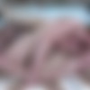 [FERRONETWORK.com/KissMatures.com] Amelia B, Aubrey (g610) [720p,SATRip/2013 ., Milf,Blondes,Small Tits,Lesbians,Oral,Kissing,Strapon,Stockings] thumbnail