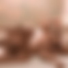 Colette.com - Katherine - Sandwich - 720p {  } thumbnail