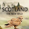 Scotland The New Wild S01E02 The Lowlands 1080p WEBRiP x264-DARKFLiX thumb