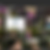 [AmourAngels.com] 2013-12-21 Nensi - Tropical Garden [Teen,Blondes, Solo, Nude] [720p, HDRip] thumb