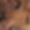Fucking Facials Vol.2 thumb