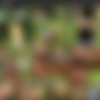 [BitchStop.com] Full SiteRip JAN 2018 - The Real European Hitchhikers thumbnail