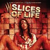 Slices of Life [2010] / H264 / MKV / DVD / SD / AC3 thumb