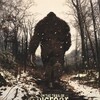 On the Trail of Bigfoot: Land of the Missing [2023] / H264 / MKV / WEB / 1080p / AC3 / Subs / ADLER thumb
