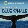 Kingdom of the Blue Whale 2009 1080p BluRay x264-OFT thumb