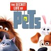 The Secret Life of Pets [2016] / H264 / MKV / Blu-ray / 1080p / AC3 thumb