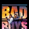 Bad Boys Ride or Die 2024 GERMAN DL 2160P WEB H265-WAYNE thumb