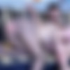 [ferronetwork.com] 22.07.2012 - 26.10.2015 [Henessy, Aubrey, Gina Gerson, Denis, Barbara, Madeleine, Irene [ solo, lesbo, masturbation, anal, hardcore, toys, fetish, pantyhose ][15051000 , 6375  , 100  ] thumb