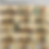 SpecialExamination.com [Siterip till August 2011] thumbnail