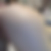 [chaturbate.com] Olegosio 2019-03-26 [2019 ., Anal,Cum shots, 720p, WebCam] thumb