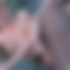 [nylonscreen.com](Updates/12.01.2012/g837) Rosa&Marcus [Oral,Hardcore,pantyhose,fetish,720p] thumbnail