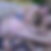 [FERRONETWORK.com / BackDoorLesbians.com]    (Madeleine, Jen / g647) (26/05/2012) [2012, Femdom, Strapon, Lesbo, Russian, Oral, Dildo, SiteRip, 720p] thumb
