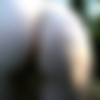 [Pornhub] Sexjox Megapack - 47 Deleted Videos - 1080p thumb
