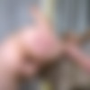 [WeAreHairy.com] Camilla Welcome - Camilla Welcome Masturbates After Applying Makeup [2020.11.07, Teen, Solo, Masturbation, Hairy, 1080p] thumb