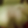 Teen Kitty [Amateur] [ 500*375  4608*3456, 299  + ] thumb