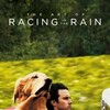 The Art of Racing in the Rain [2019] / H264 / MKV / Blu-ray / 720p / AC3 / Subs thumb