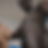 [CorbinFisher.com] Xavier Nails Jamie [2017 ., Oral/Vaginal Sex, Bareback, Cumshots, Muscle, Tattoos, Black, Interracial, 1080p] thumb