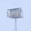 Nest [2022] / H264 / MKV / WEB / 1080p / AAC / Other / Subs / TRMP thumb