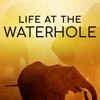 Life at the Waterhole S01 1080p AMZN WEB-DL DDP2 0 H 264-NTb thumb