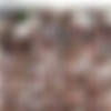 [BlacksOnBlondes.com / DogFartNetwork.com] Chanel Preston [2017 ., Gonzo IR Anal DP, 720p] thumbnail