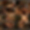 [TwistysHard.com / Twistys.com] Veronica Rodriguez (Spa Seduction / 30.12.2014 .) [Blowjob, Close Up, Cum Shot, Oral Sex, Piercing, Small Boobs, Big Cock, Trimmed Pussy, Twistys Hard, Natural] thumb