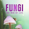 Fungi The Web of Life 2023 1080p WEB-DL DDP5 1 H264 thumb