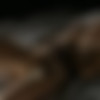[ifeelmyself.com] Orgasm compilation (November 2013) [2013 ., Masturbation, Amateur, CamRip] thumb