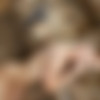 [Maycontaingirl.com] 2022-06-13 Rosie Danvers - Zig Zag [Solo, Erotic, Big tits] [2667x4000, 190 ] thumb