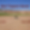 [MudPuddleVisuals.com / MPV] Mud Trippers Seven /  7 [2011 ., mud trippers, mud puddle, wam messy, leasbian, masturbate, DVD] thumbnail