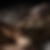 [ifeelmyself.com] Orgasm compilation (May 2013 ) [2013 ., Masturbation, Amateur, CamRip] thumb