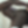 [BlacksOnSluts.com / Private.com] Matilde Ramos - Sexy Latina Enjoys Interracial Rimming (08.01.2019) [2019 ., Rim Job, IR, Big Black Cock, Blowjob, Brunette, Facials, First Time at Private, High Heels, Latina, Shaved Pussy, Small Tits, Tattoo, Teen, Vaginal Sex, 720p] thumb