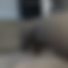 [chaturbate.com] Cosplaycats 2019-04-21 [2019 ., Blowjob,All Sex, 720p, WebCam] thumb